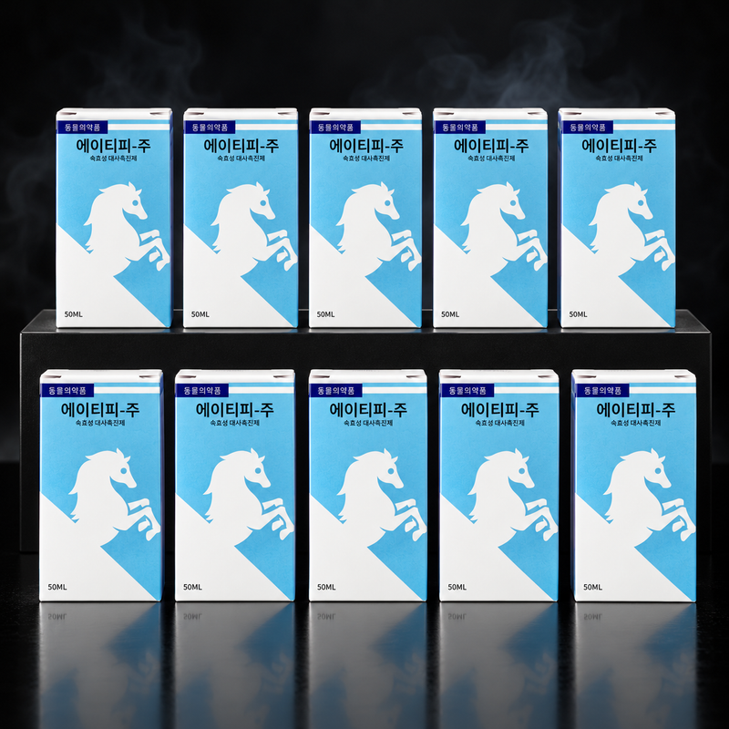 ATP FORTE | PACK X 10
