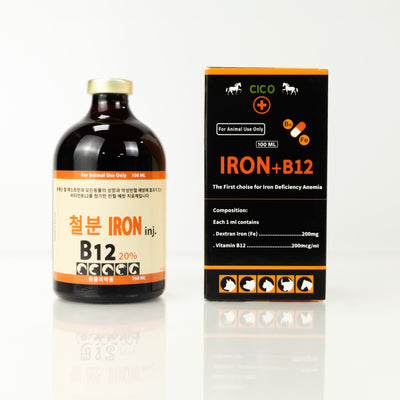 IRON + B12 (100 ML)