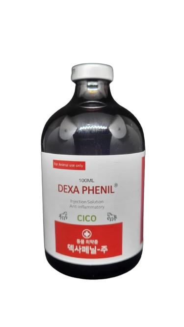 DEXA PHENIL (100 ML)