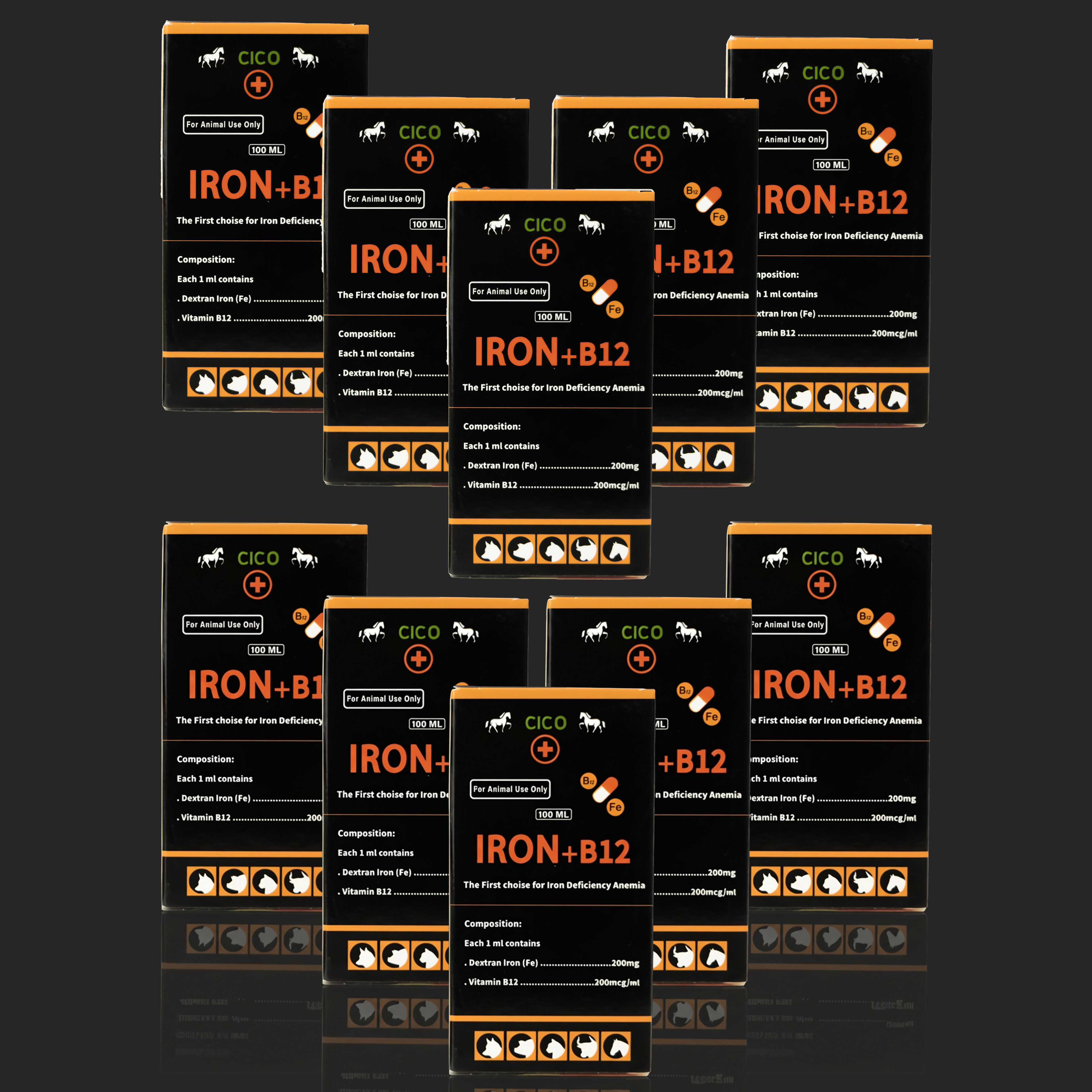 IRON + B12 | PACK X 10