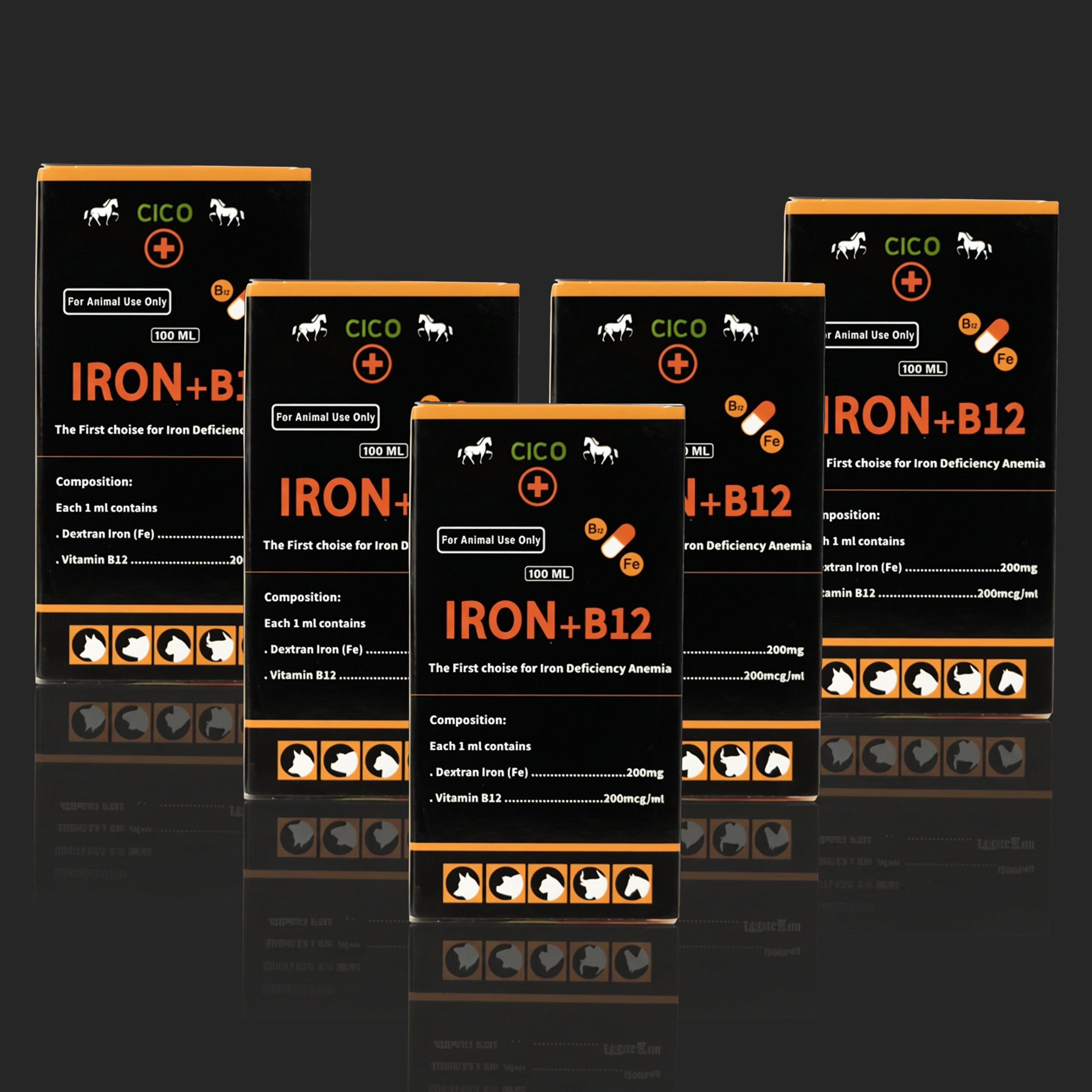 IRON + B12 | PACK X 5