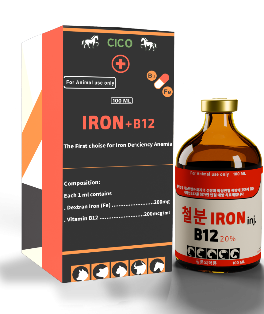 IRON + B12 (100 ML)