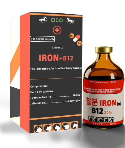 IRON + B12 (100 ML)