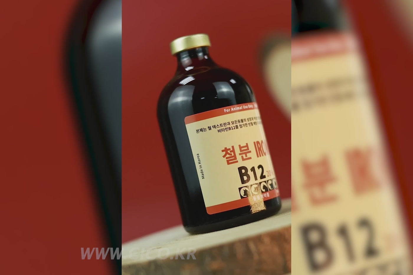 IRON + B12 (100 ML)